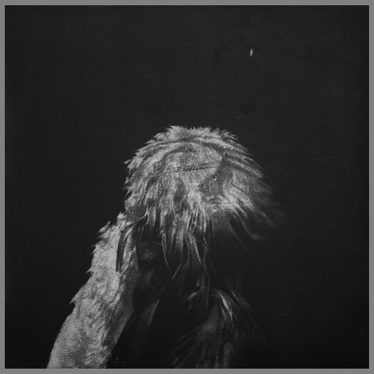 迷失者的悲歌6 铜版 50x50cm 2016 李双强