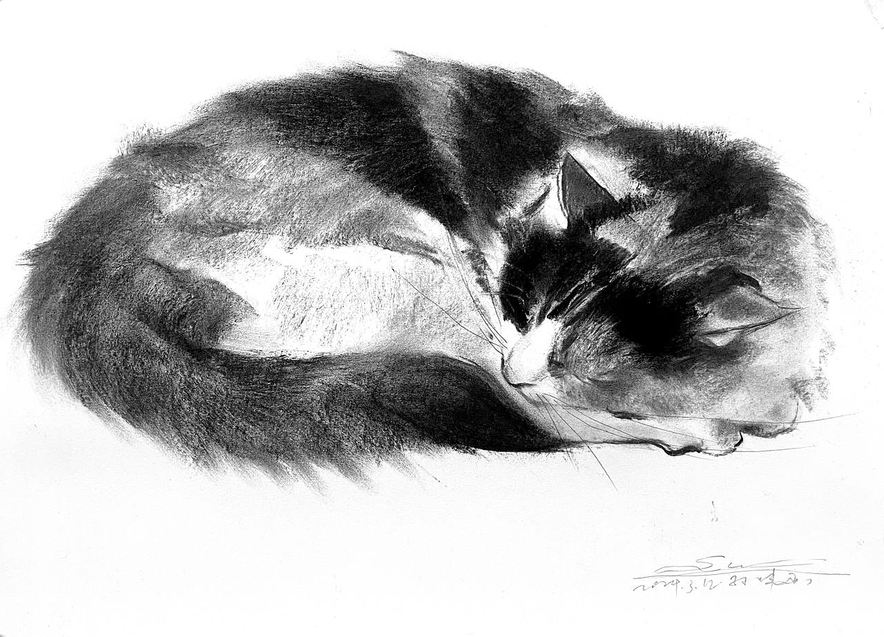 黑白插画也可以很好看不是吗？