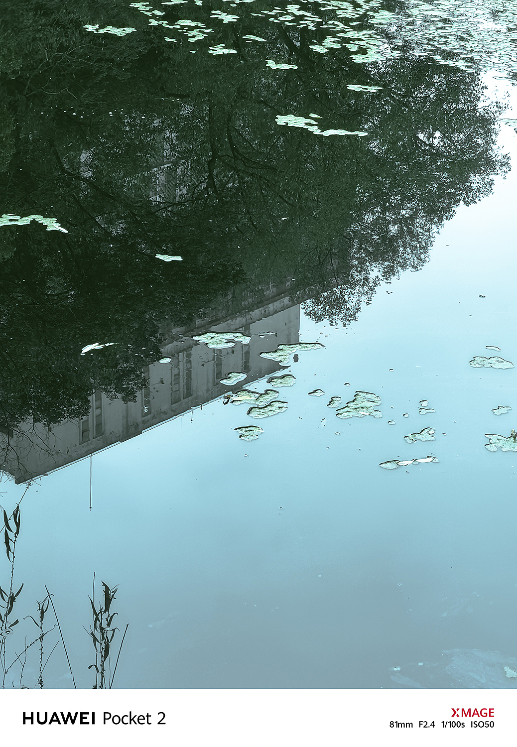 在春风里，树影倒映在水中，勾勒出一幅幅优美的图案