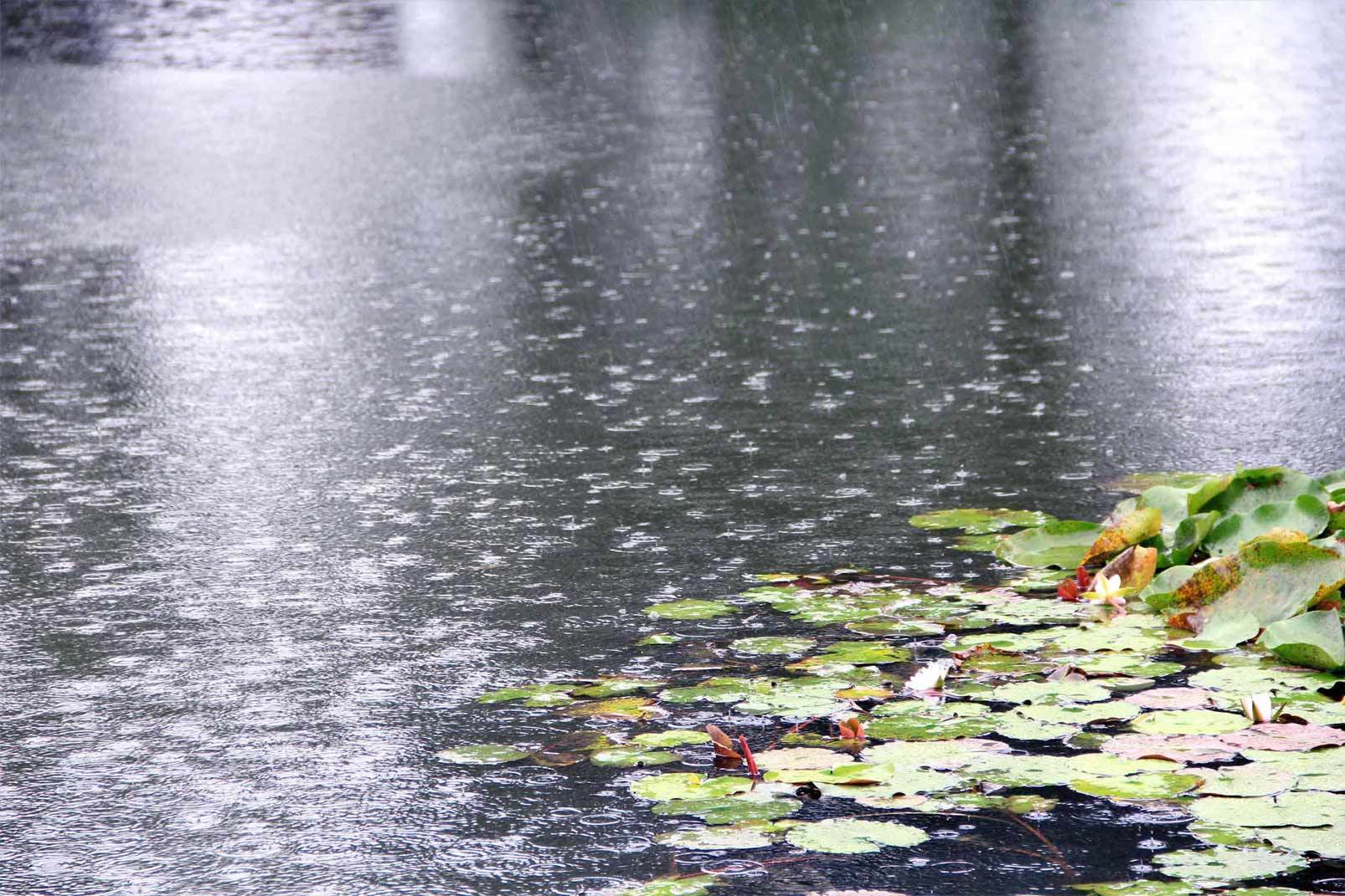 雨中西湖|摄影|风光|slove121314 - 原创作品 - 站酷 (ZCOOL)