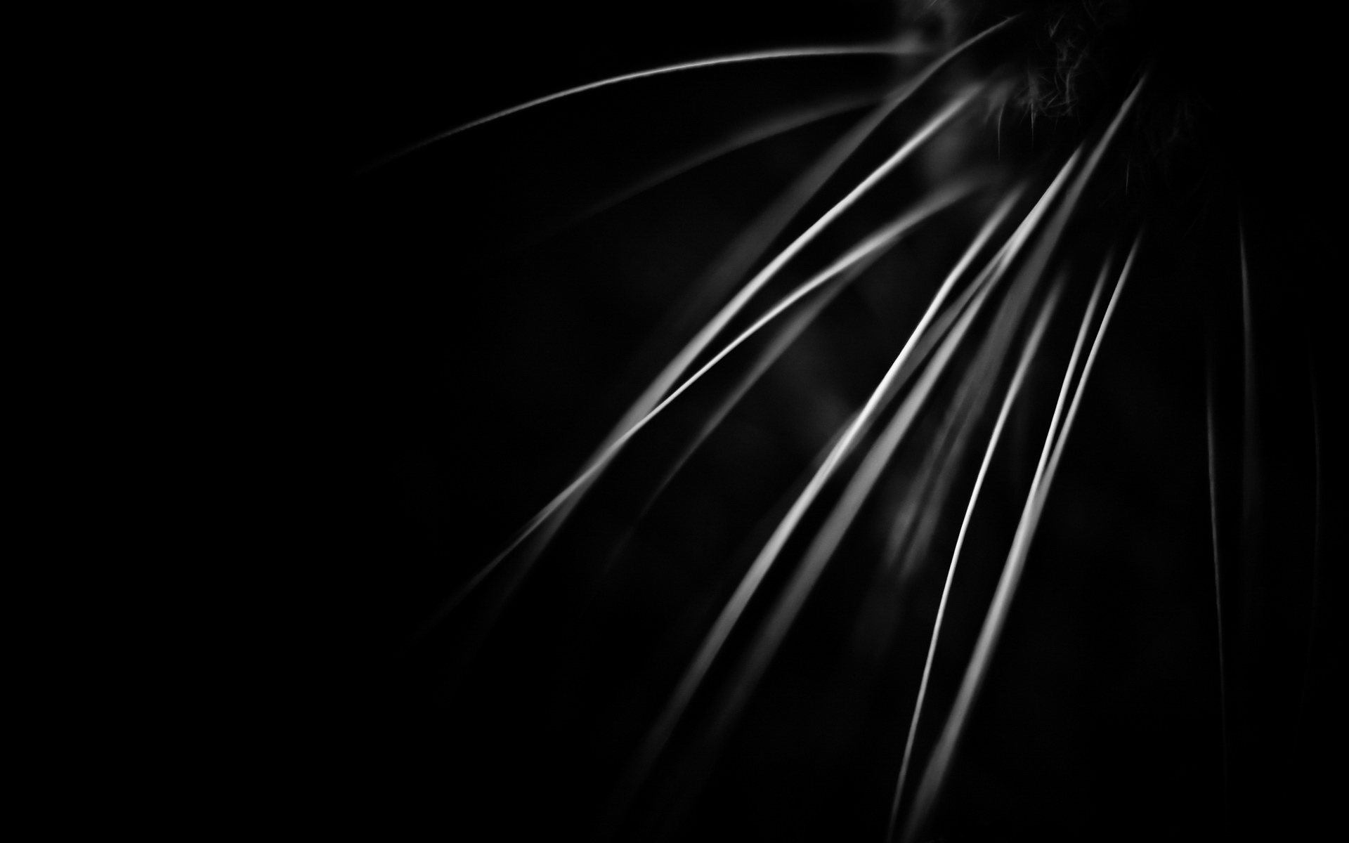 空景i的收藏夹 - 站酷 (zcool)