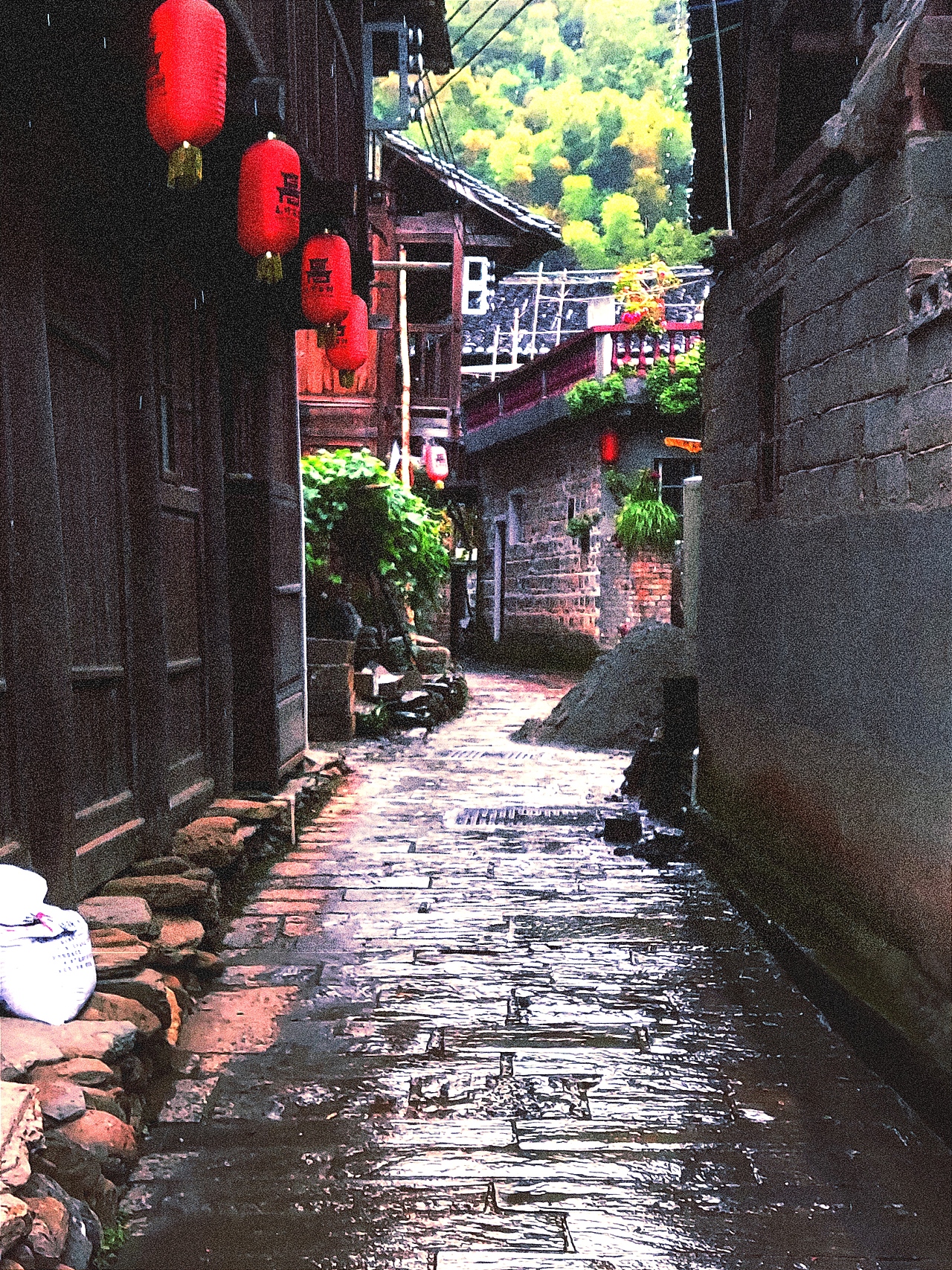 2021手机摄影（图ZMjg3ODM4OTY0） - 风光摄影 - 站酷设计师康康今天学习了吗原创素材 - 站酷ZCOOL