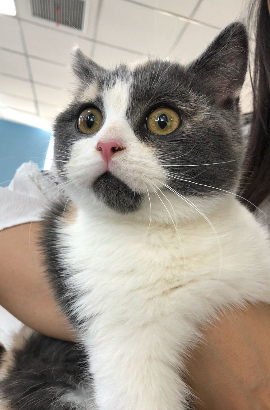 手机拍摄的小可爱们（图ZMTM0NDQzMjg4） - 人文/纪实摄影 - 站酷设计师hgeir原创素材 - 站酷ZCOOL