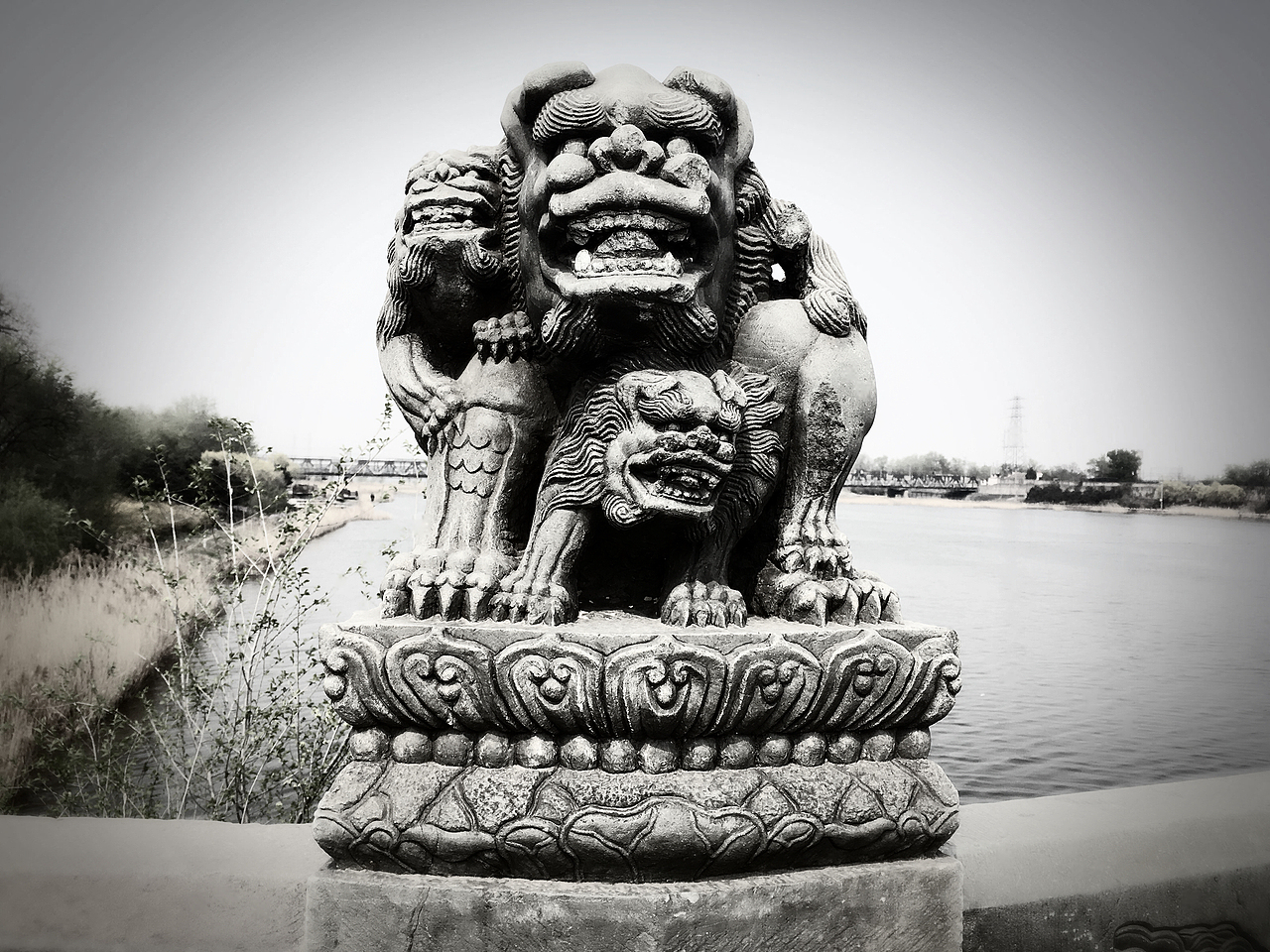 我只是来凑热闹的（图ZNzkyMjk3Mjg=） - 其他摄影 - 站酷设计师陌小默920712原创素材 - 站酷ZCOOL