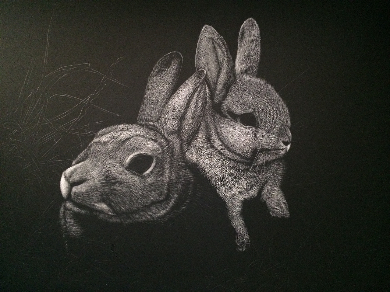 李子哥刮画作品iloveyoutoo兔