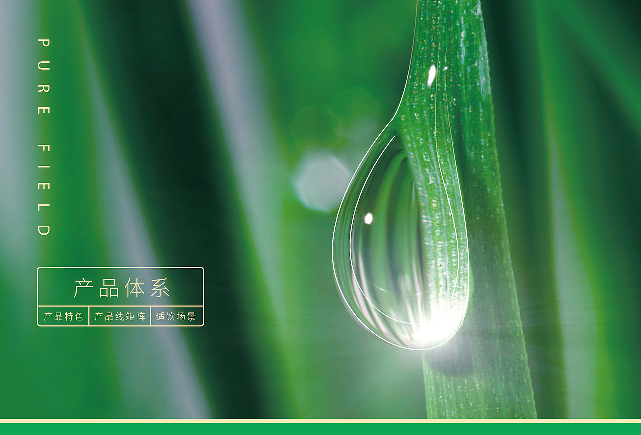 纯野-品牌推广-品牌画册