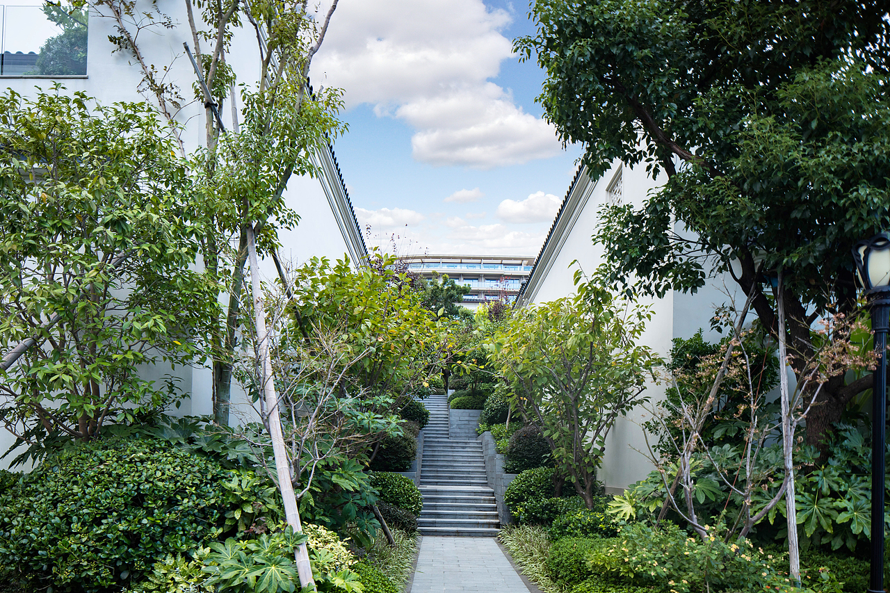 【栾波建筑摄影】设计类摄影|绿城舟山东沙度假区