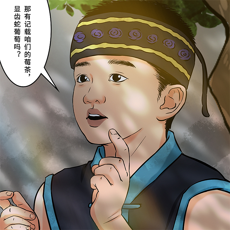 张家界莓茶故事之药圣辞官