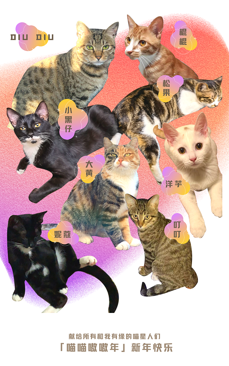新年祝福系列 | 2022喵嗷年 养猫人专属对联(图ZMjgwMDQwMTAw) - 艺术插画 - 站酷设计师庸俗陷阱原创素材 - 站酷ZCOOL