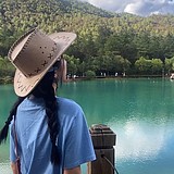 一棵桉树的头像