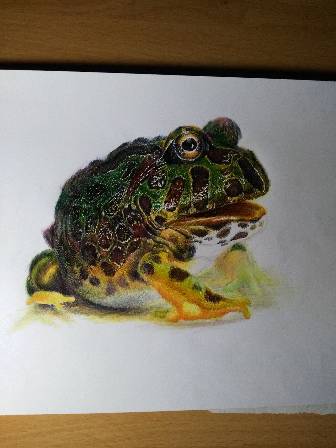 牛蛙临摹|纯艺术|绘画|yq手绘 - 原创作品 - 站酷 (zcool)