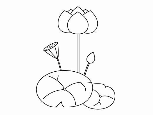 荷花简笔画