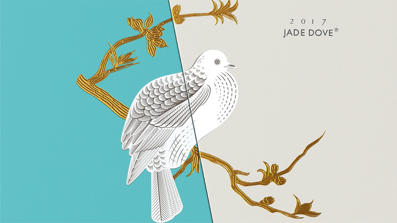 玉鸽-单一园（图ZMjk0MDQ2MjQ0） - 包装 - 站酷设计师卓上设计原创素材 - 站酷ZCOOL