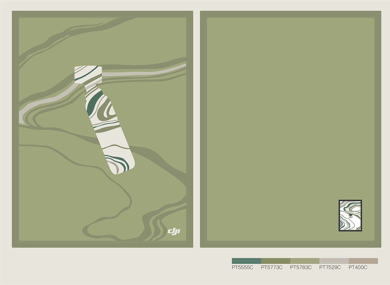 DJI大疆创新 - 2021年度员工福利——端午礼盒