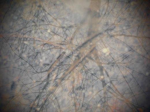 个人摄影（个人主页-ZMzkxMDEyMjg=） - 风光摄影 - 站酷设计师金叶子6原创素材 - 站酷ZCOOL