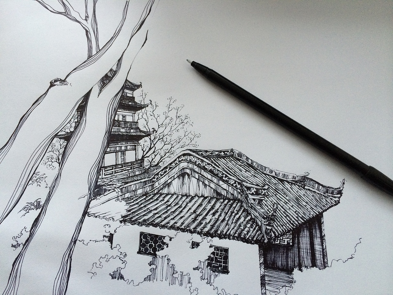 狼山写意|插画|创作习作|jasonku_原创作品-站酷zcool