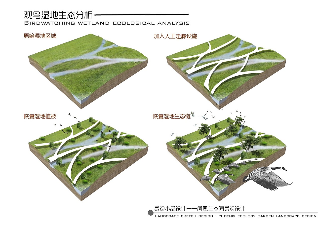 凤凰生态园景观设计（图ZNzg0NTU5NjQ=） - 景观设计 - 站酷设计师调色板22原创素材 - 站酷ZCOOL