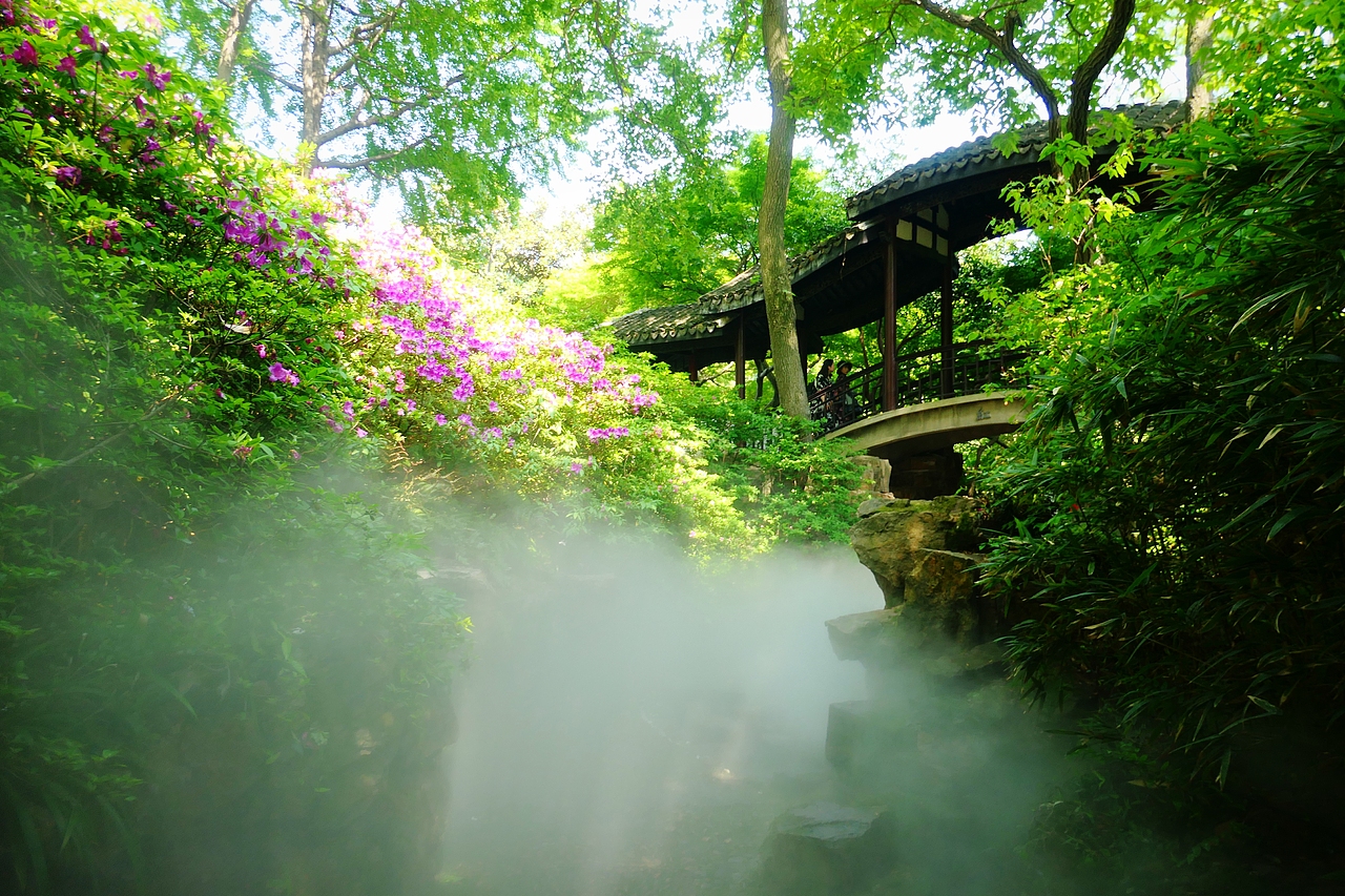 惠山古镇 | 杜鹃啼红