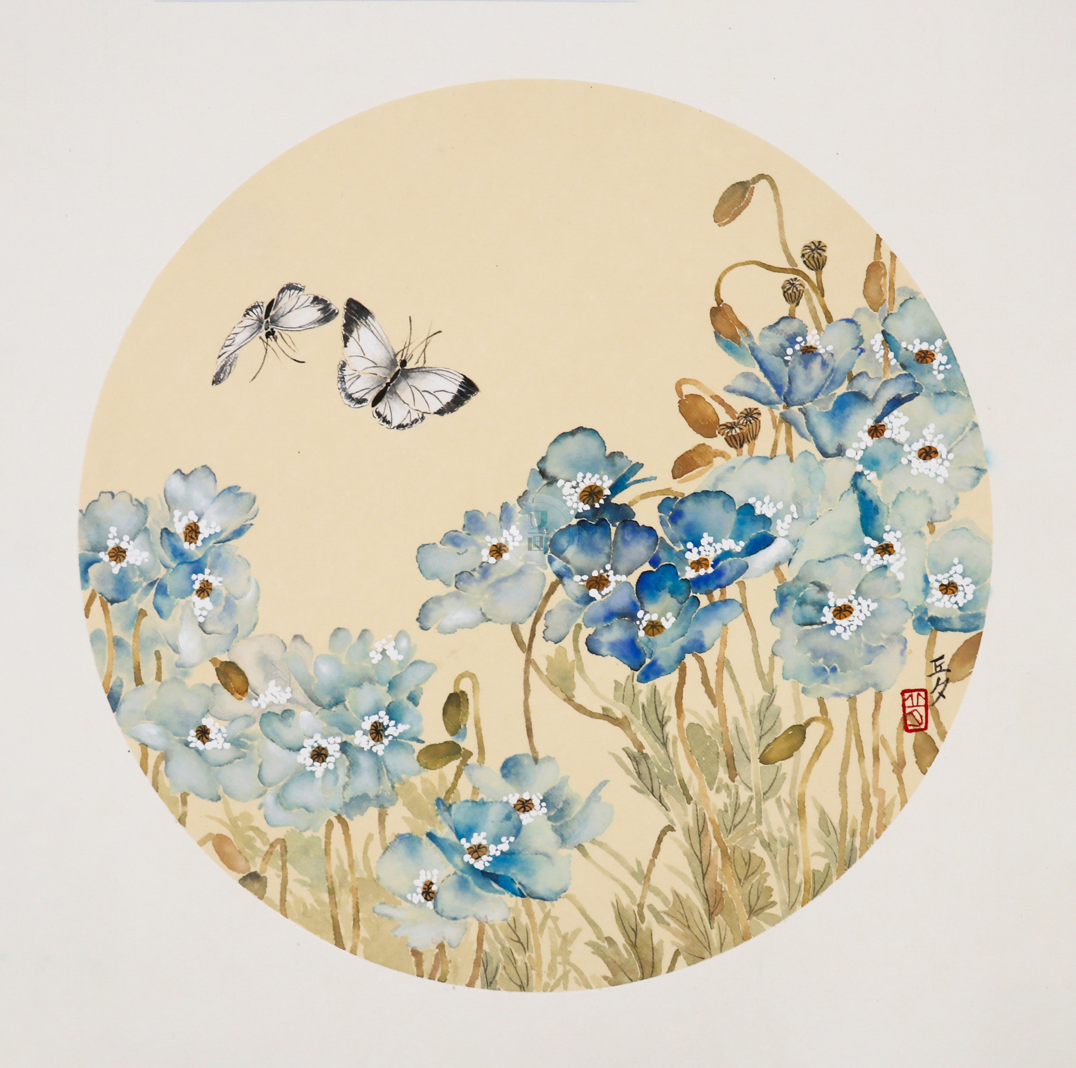 国画教程 | 没骨蓝色虞美人