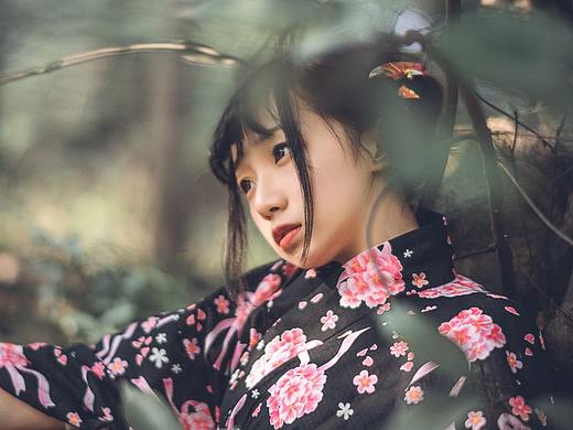 何处哀筝随急管,樱花永巷垂杨岸