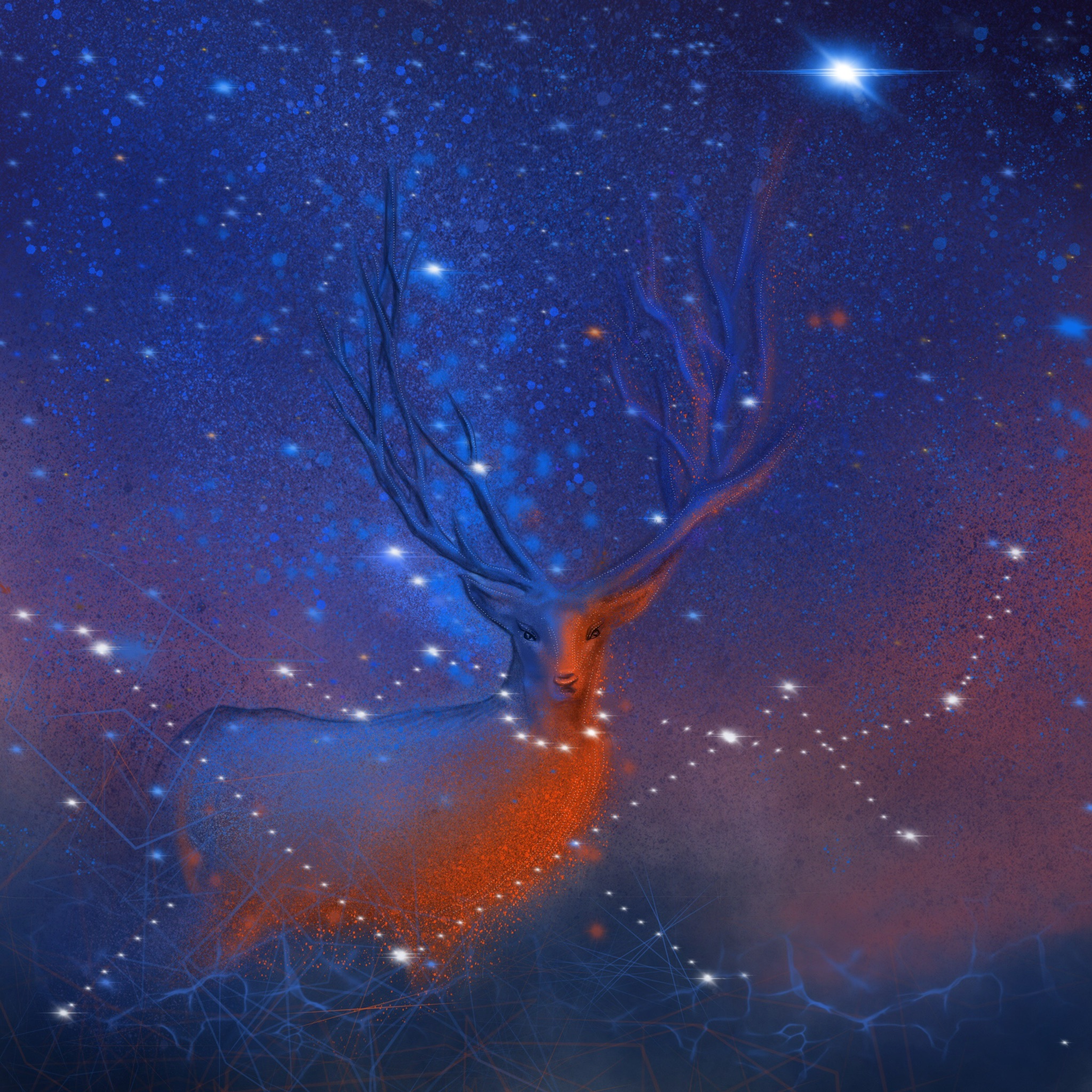 星空麋鹿壁纸 森系图片