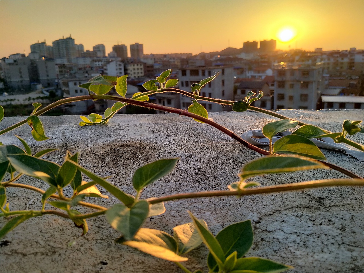 傍晚的露台（图ZMjA1NzA1NDA4） - 风光摄影 - 站酷设计师依子6原创素材 - 站酷ZCOOL