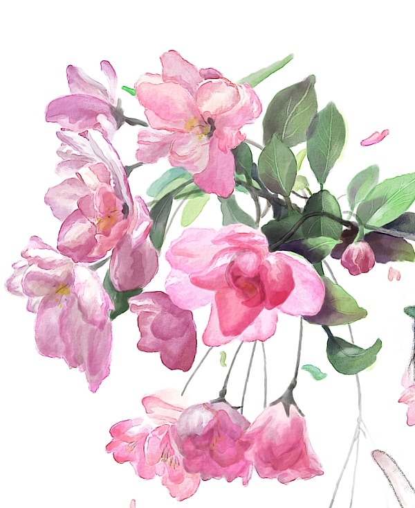 海棠花 - 原创作品 - 站酷(zcool)