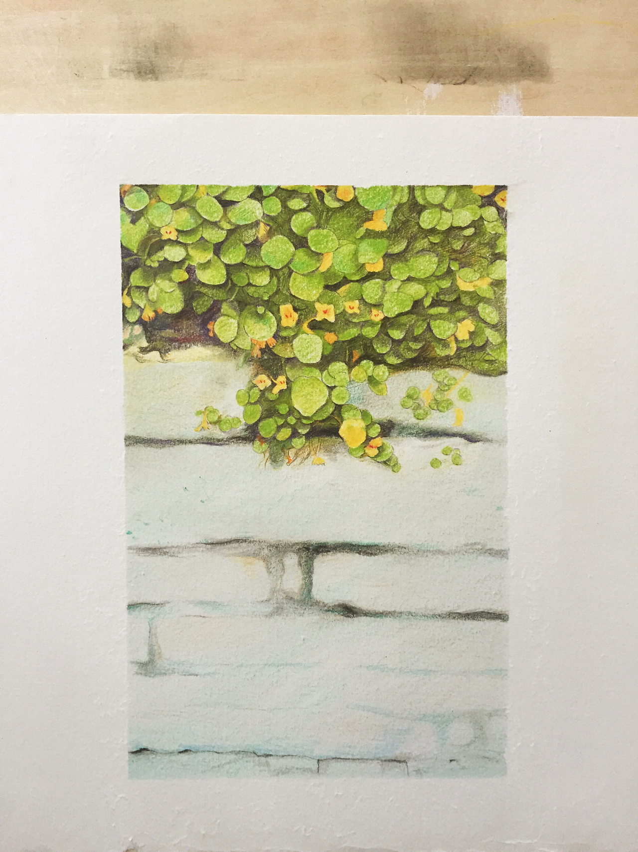 水溶彩铅插画之夏季(かき)