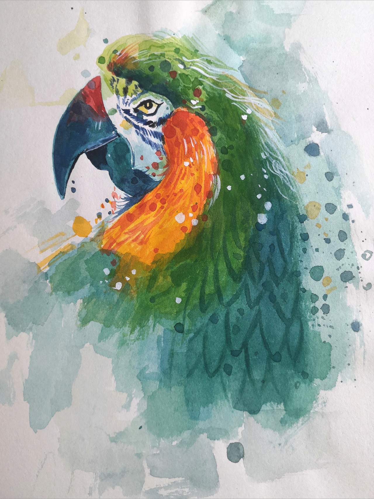 鹦鹉|纯艺术|绘画|帆东絮 - 临摹作品 - 站酷 (zcool)