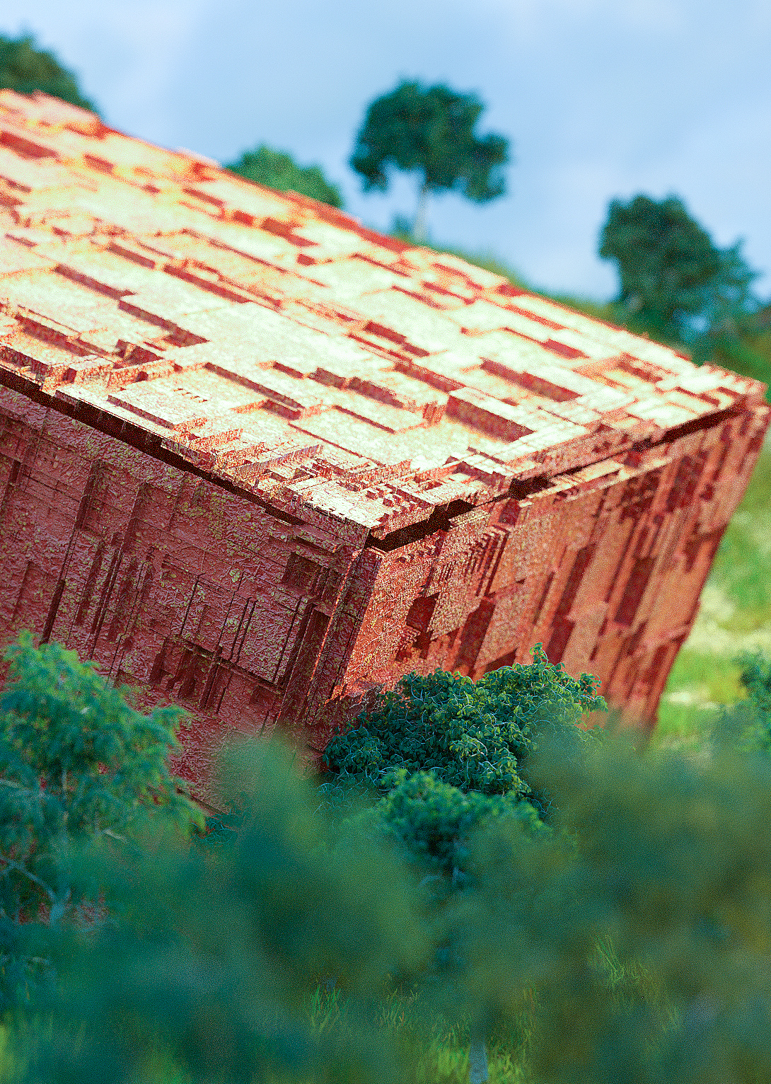 超现实 森林渲染 forest x miracle