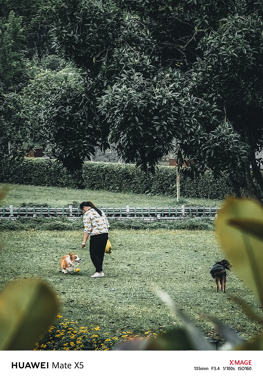 MATE X5｜素喜光阴，不问今夕何夕，简单就是幸福