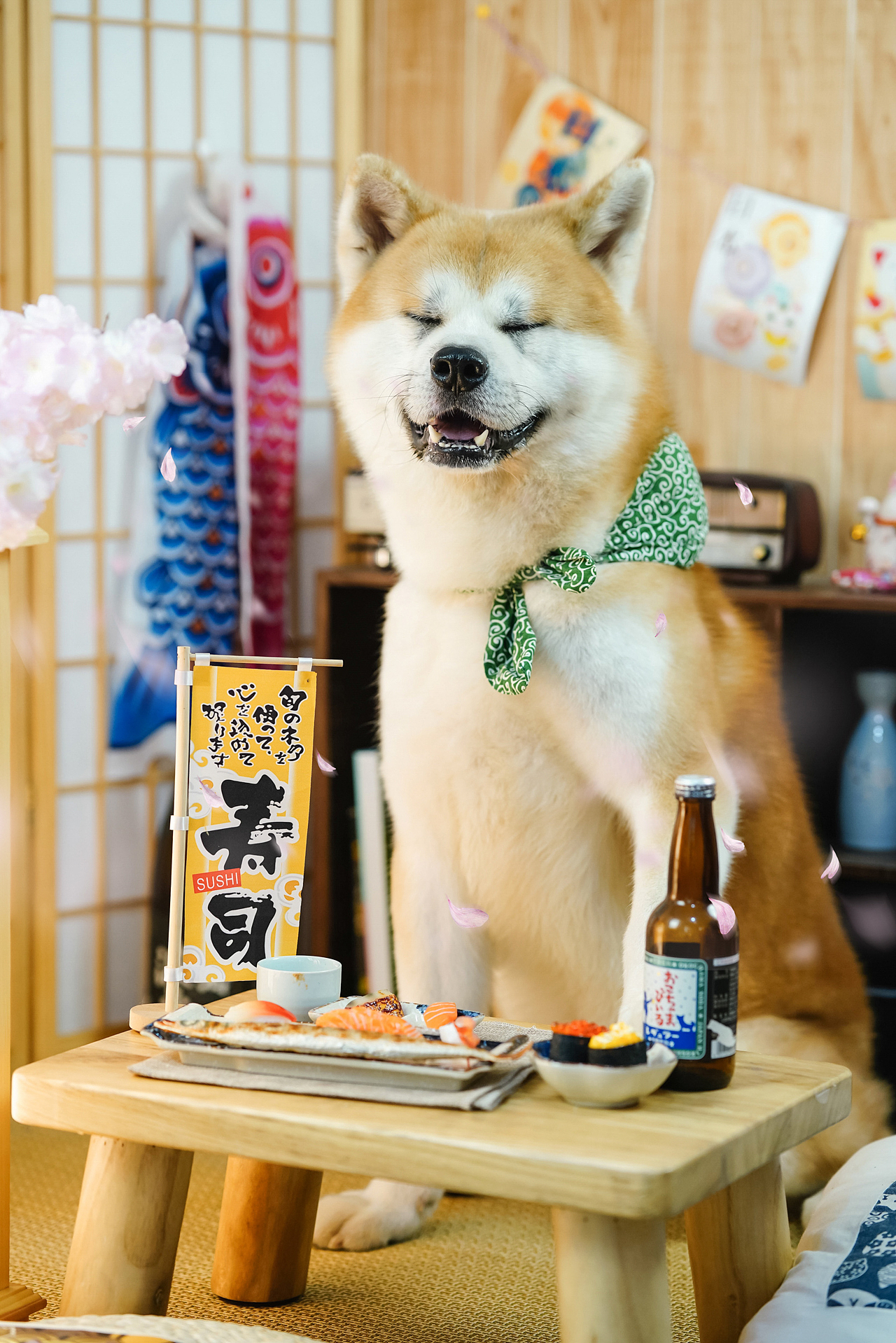 秋田犬合集宠爱拾光