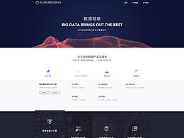 官网设计