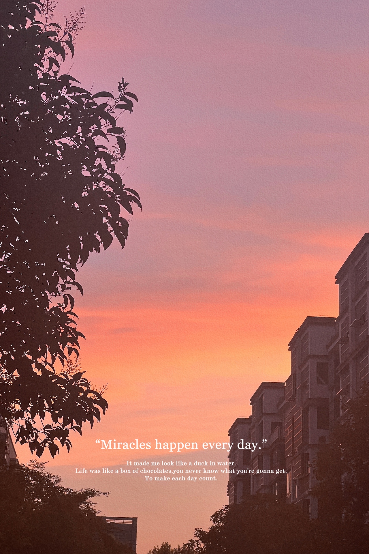 七月（图ZMzA3MjQ3ODYw） - 风光摄影 - 站酷设计师云在青天水在瓶9原创素材 - 站酷ZCOOL