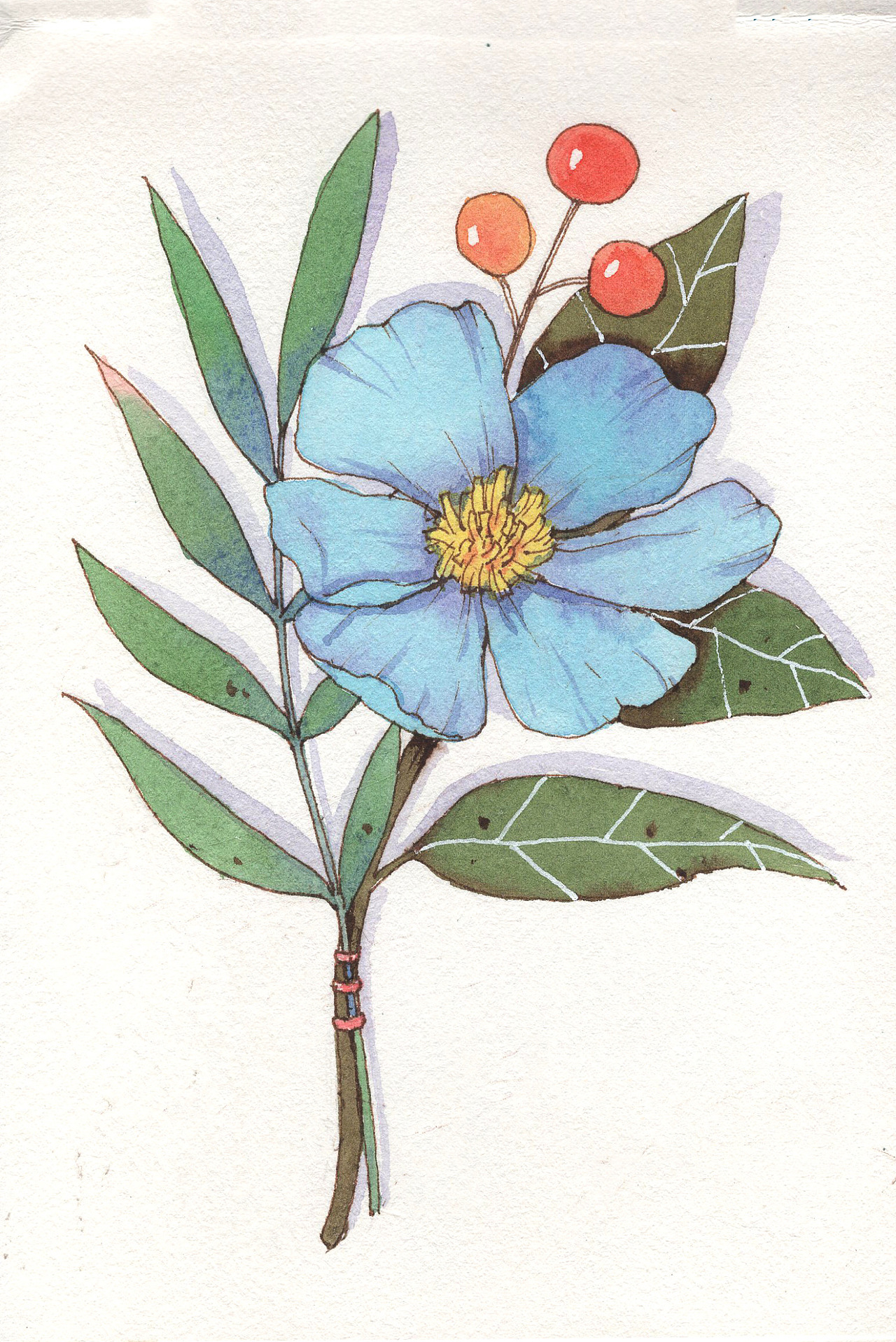 花儿|水彩手绘|岁月静好