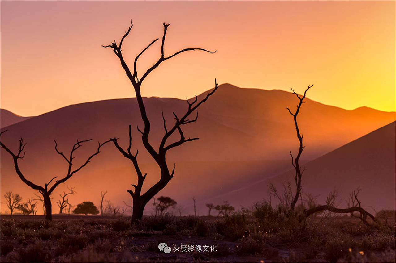 纳米红沙漠4 Namibia red desert4黄海燕作品-灰度影像高阶荣衔会员

