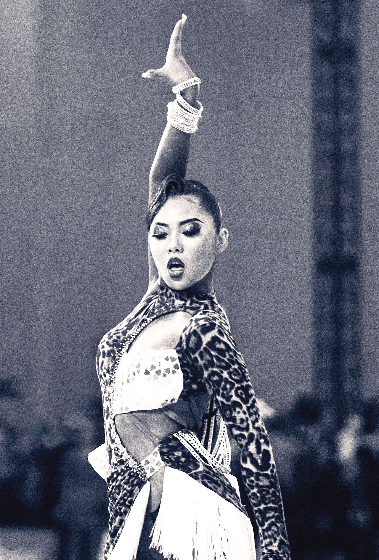 《华夏杯》中国国际标准舞全国公开赛