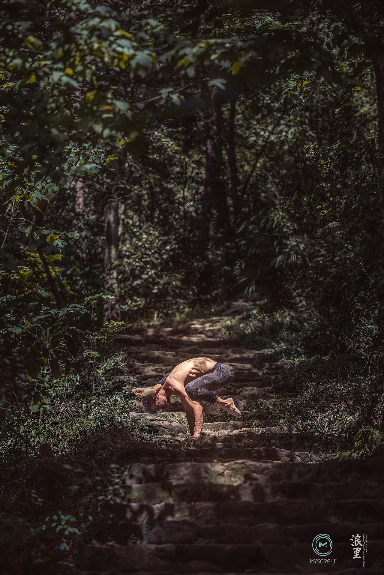 【浪里视觉】瑜伽森林系列（图ZMTUwMjM2ODEy） - 时尚/艺术摄影 - 站酷设计师浪里视觉原创素材 - 站酷ZCOOL