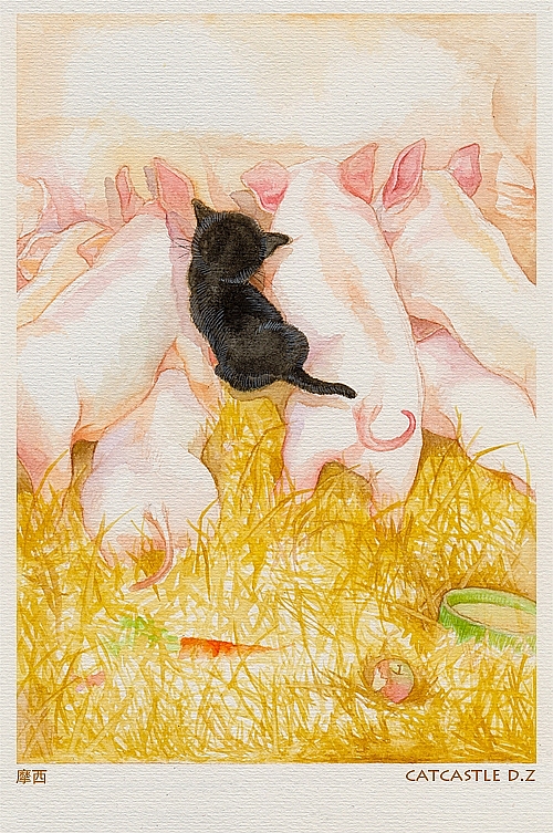 【猫的故事】已出版