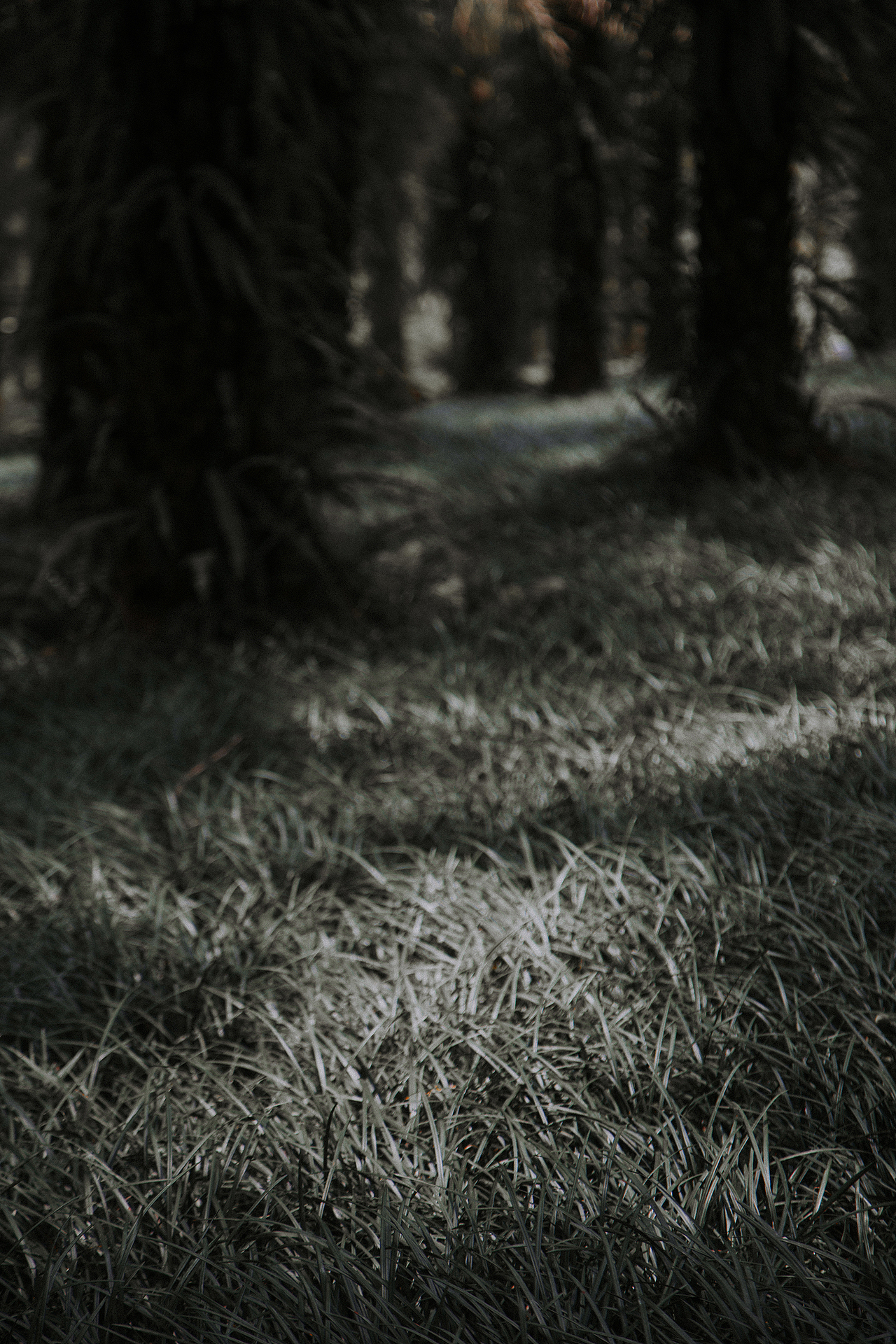 青秀山（图ZMTYxNzU2MjMy） - 风光摄影 - 站酷设计师南西_原创素材 - 站酷ZCOOL