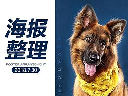 宠物产品