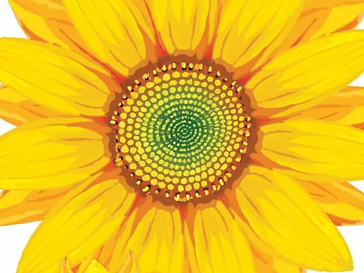 日常包装-插画（个人主页-ZMjUzMzk5MjQ=） - 商业插画 - 站酷设计师zimiyitop原创素材 - 站酷ZCOOL