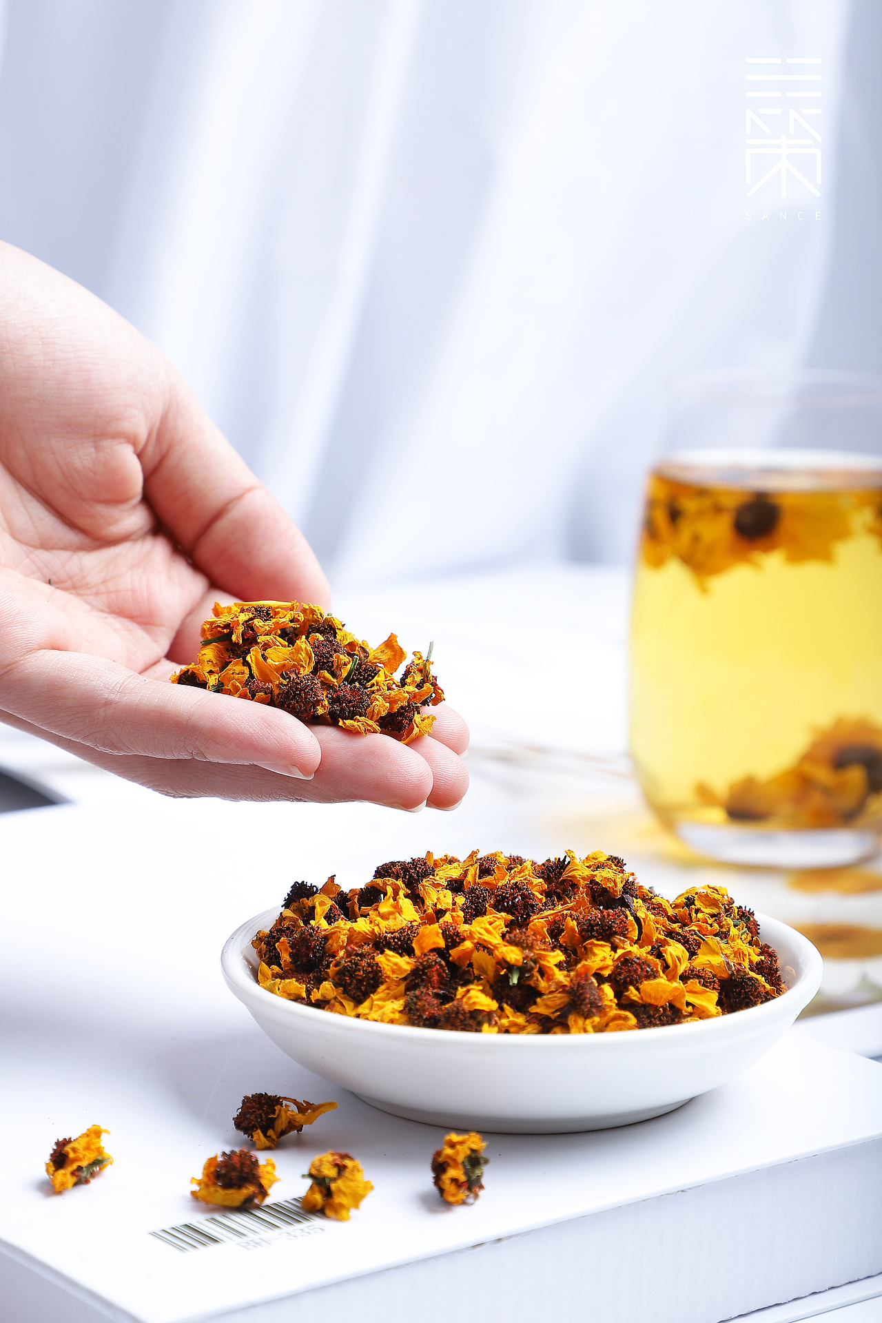 昆仑雪菊图片拍摄摄影