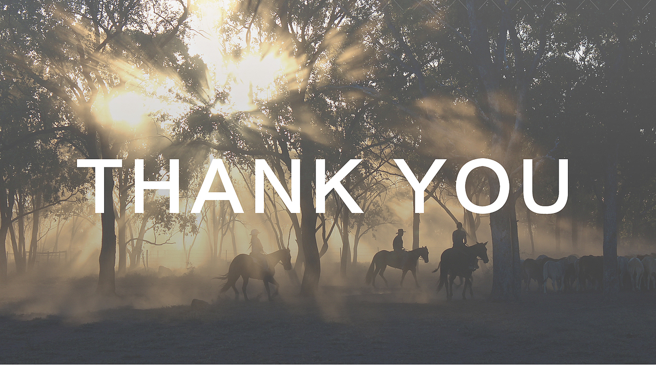 闪店购|品牌设计