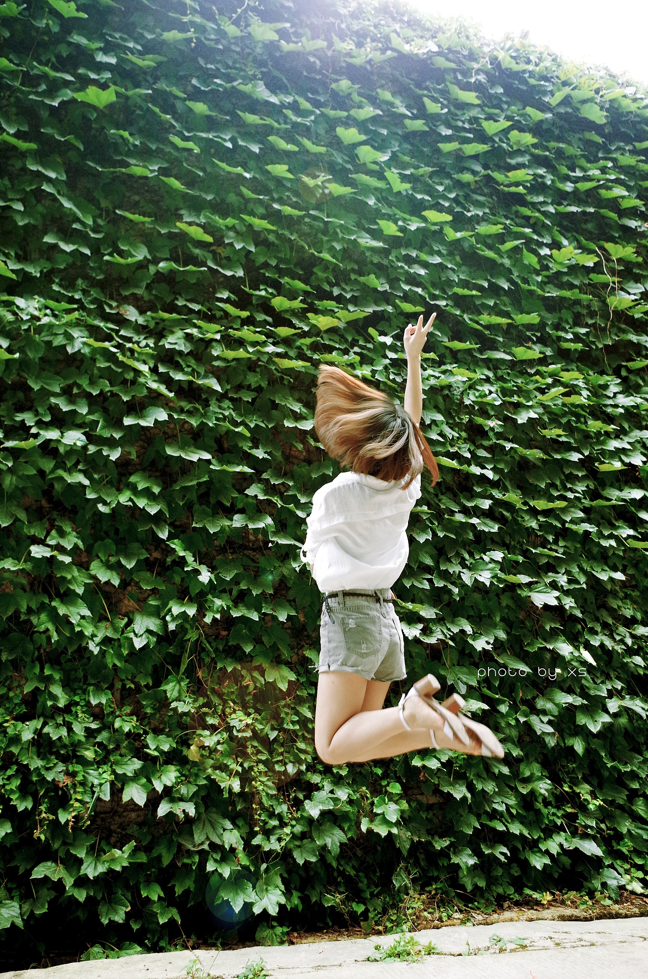 〈洒进阳光里〉