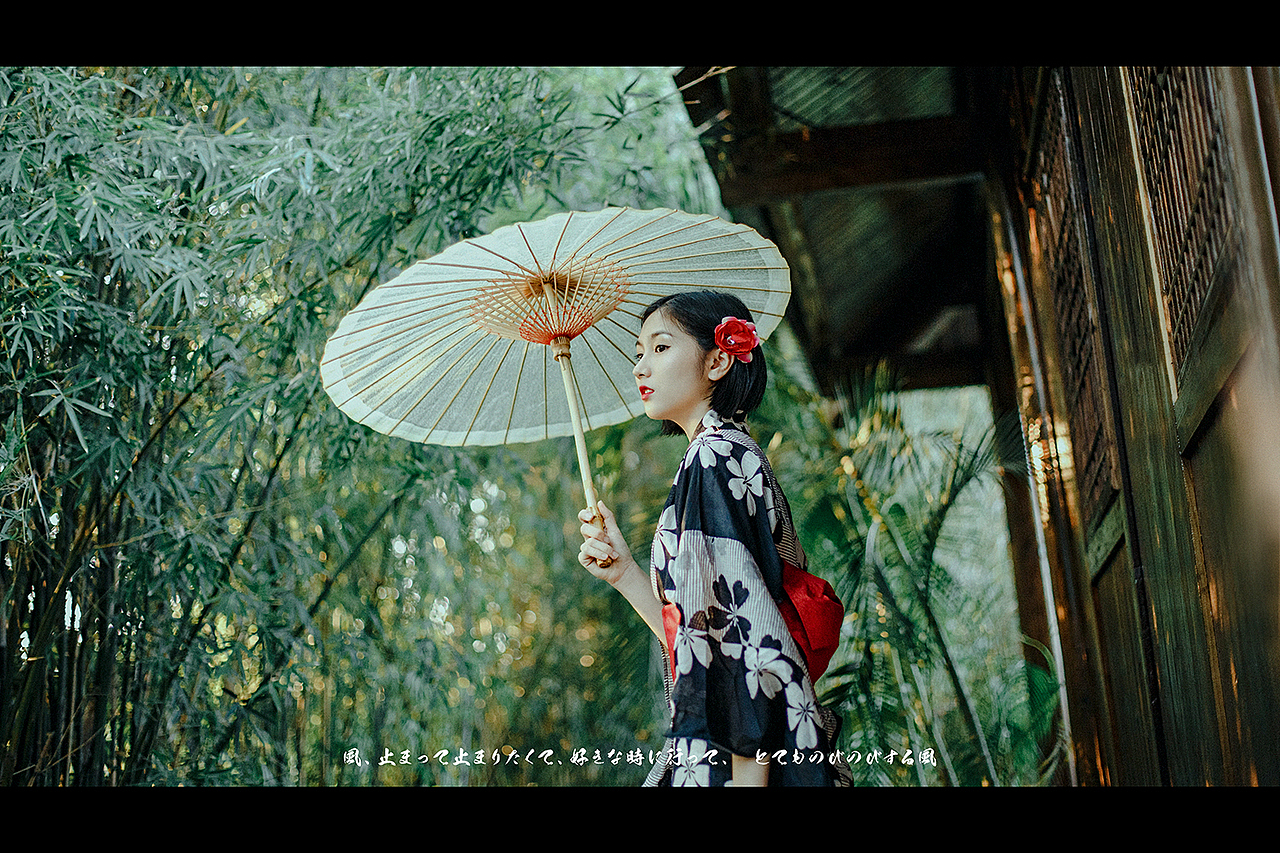 【 秋之白华 】