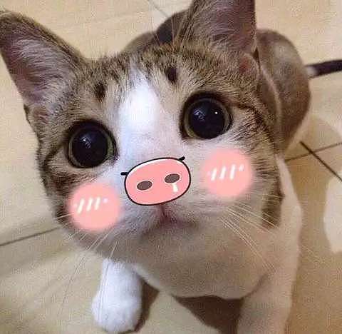 鳄鱼宝宝-插画首页（图ZMTA5ODM1OTQw） - 商业插画 - 站酷设计师星星入了眼原创素材 - 站酷ZCOOL