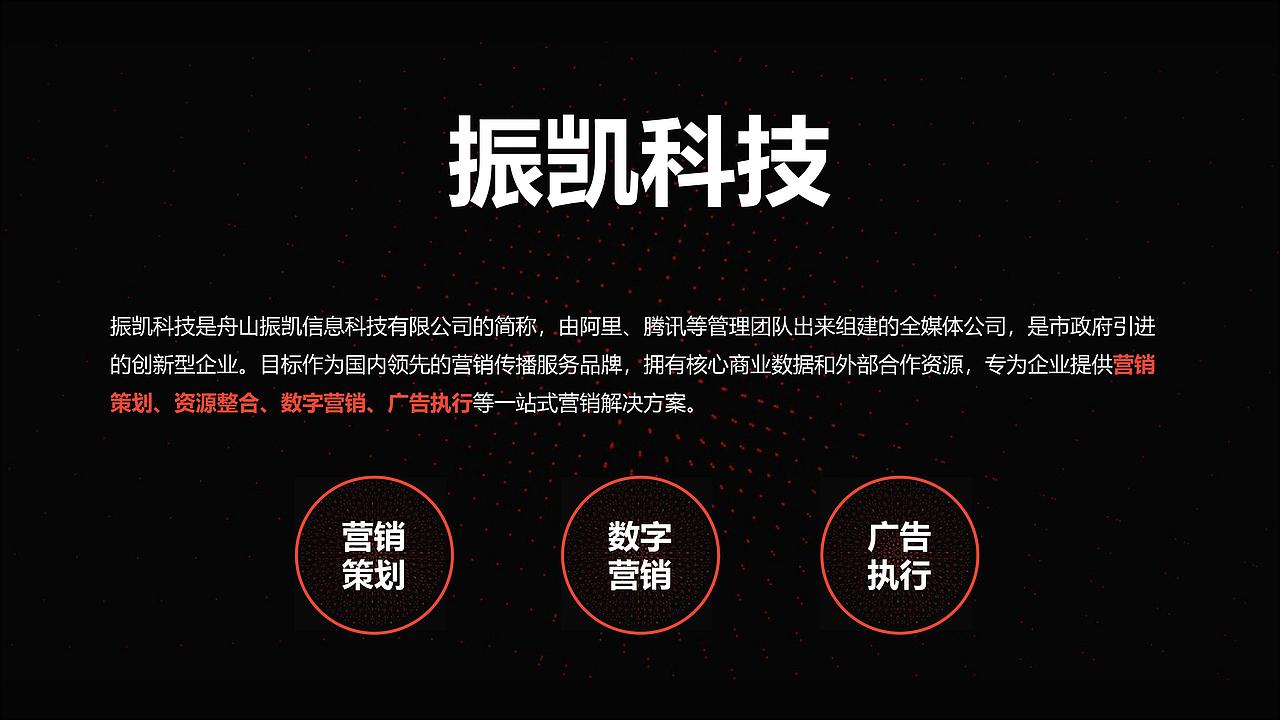 振凯科技公司-高级