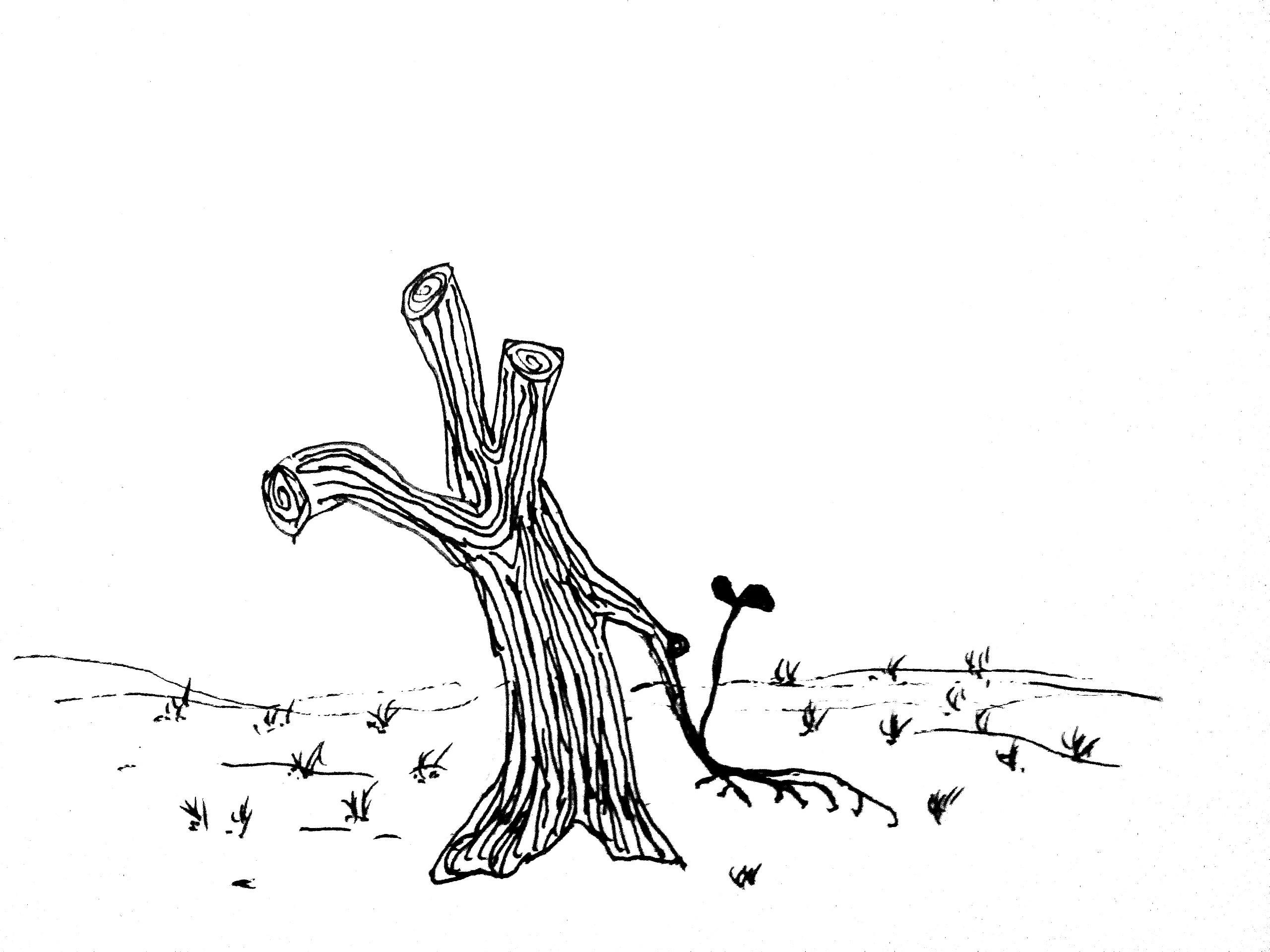 春芽|插画|商业插画|蓝宇高天 - 原创作品 - 站酷 (zcool)