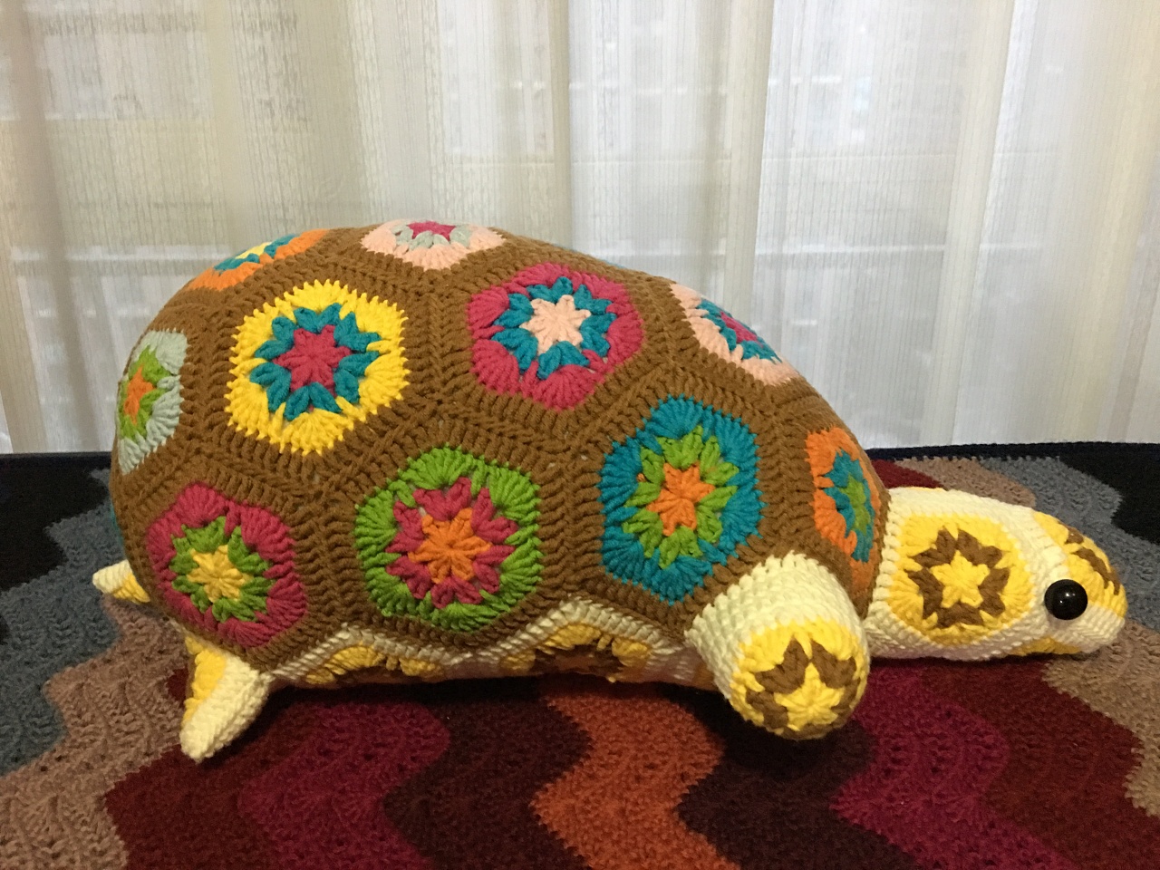 这只乌龟:turtle:有点肥